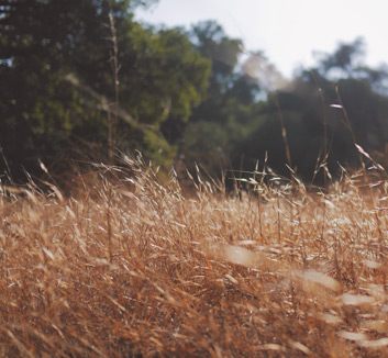 博洛尼亚客场惊险平克罗托内，保级压力减轻